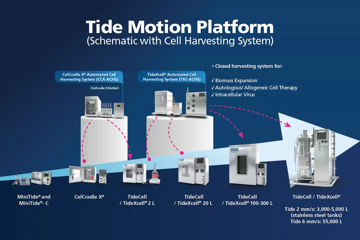 First-in-Market (Regenerative Medicine)